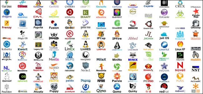 11 лучших дистрибутивов Linux для программиста | GeekBrains -  образовательный портал